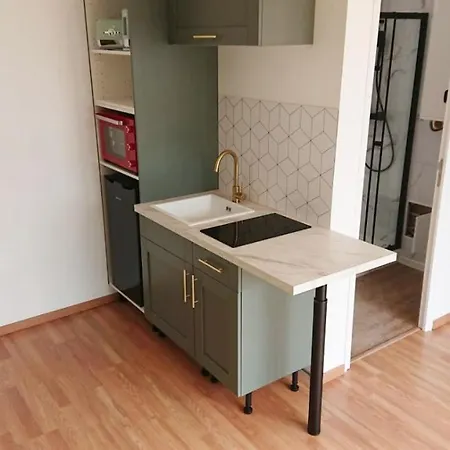 Appartement 35 M2 30 M2 De Terrasse Accès Jardin *