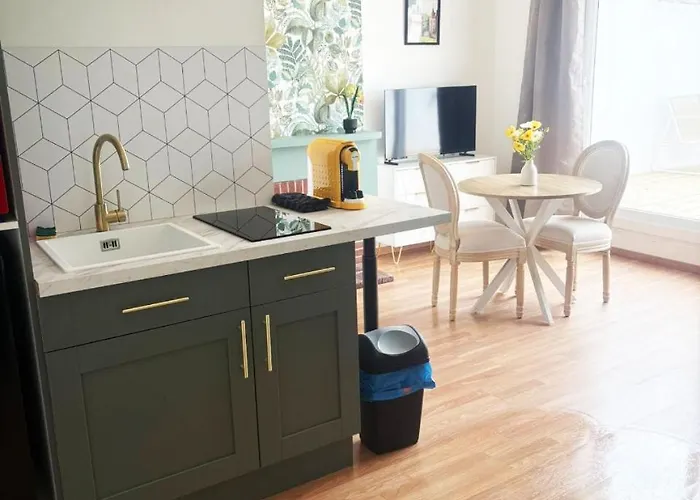 Appartement 35 m2 charmant plus 30 M2 de terrasse Accès jardin SPA *